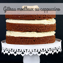 Moelleux chocolat vanille Féerie cake