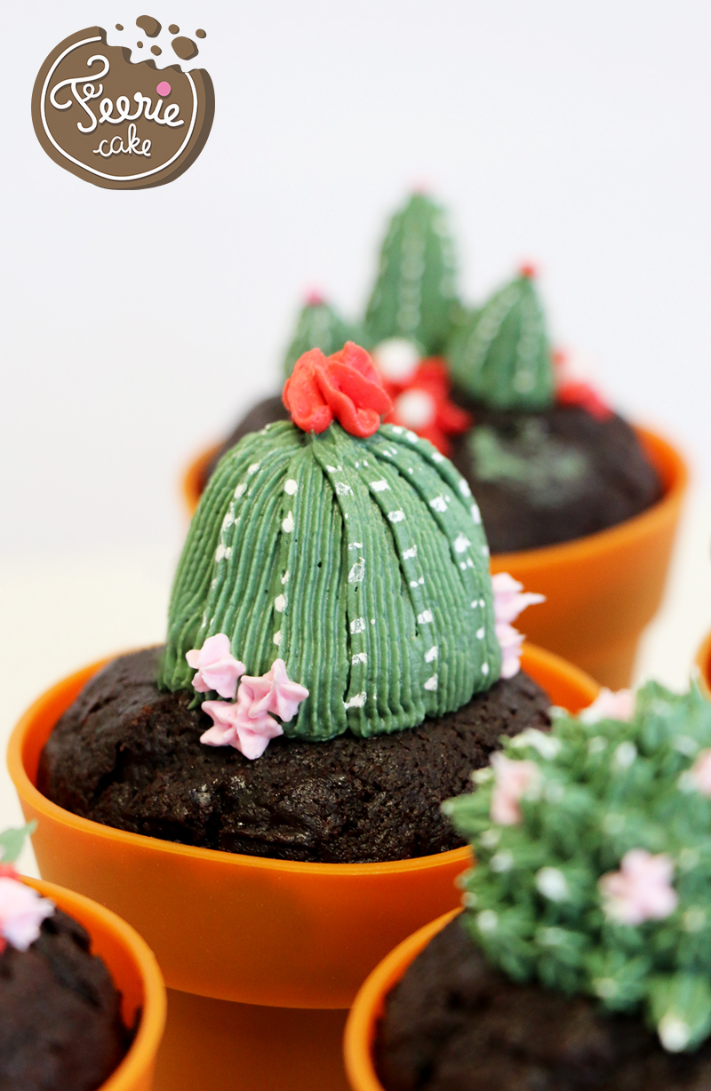 cupcakes cactus fleur