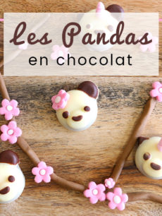 Pandas en chocolat