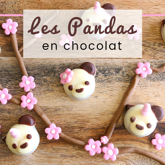 Pandas en chocolat