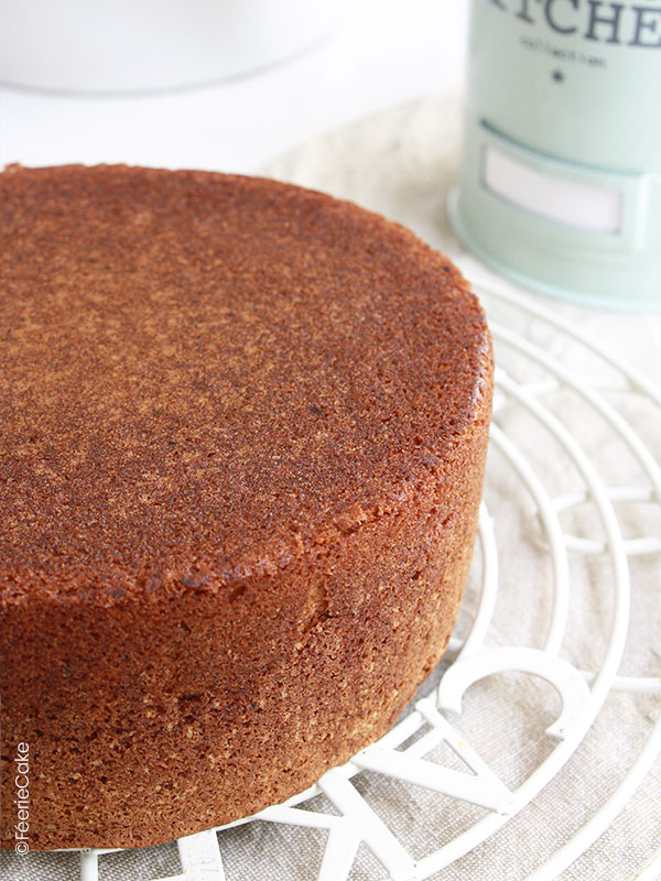 Recette simple d'un gâteau moelleux : molly cake