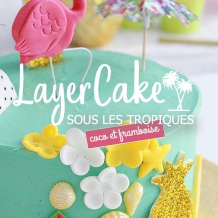 Layer cake coco framboise