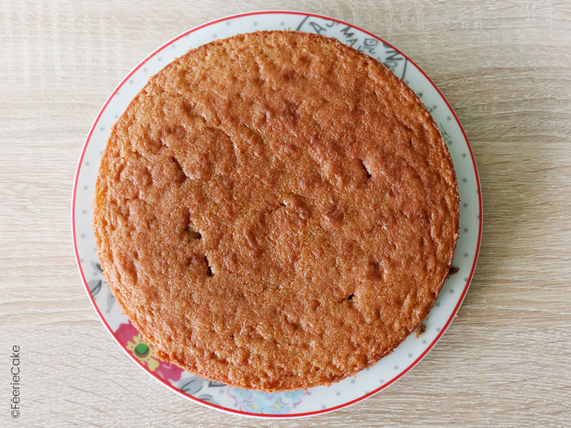 Le biscuit de l'entremet chocolat, noisettes et caramel