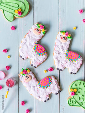 Biscuits lamas et cactus